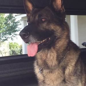 Meet your Posher, Brett